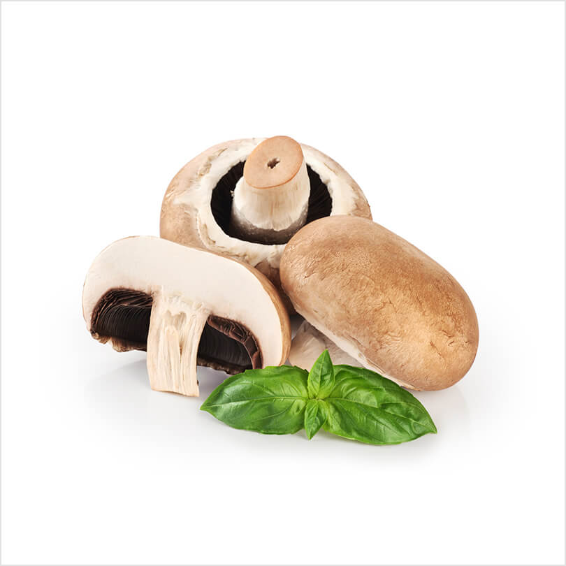 Mushrooms